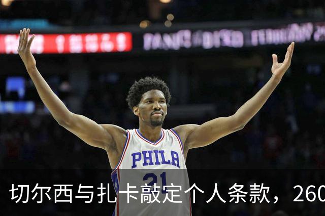 切尔西与扎卡敲定个人条款，2600万镑报价等待桑德兰放行