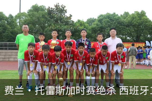 费兰·托雷斯加时赛绝杀 西班牙1-0力克阿根廷再捧大力神杯